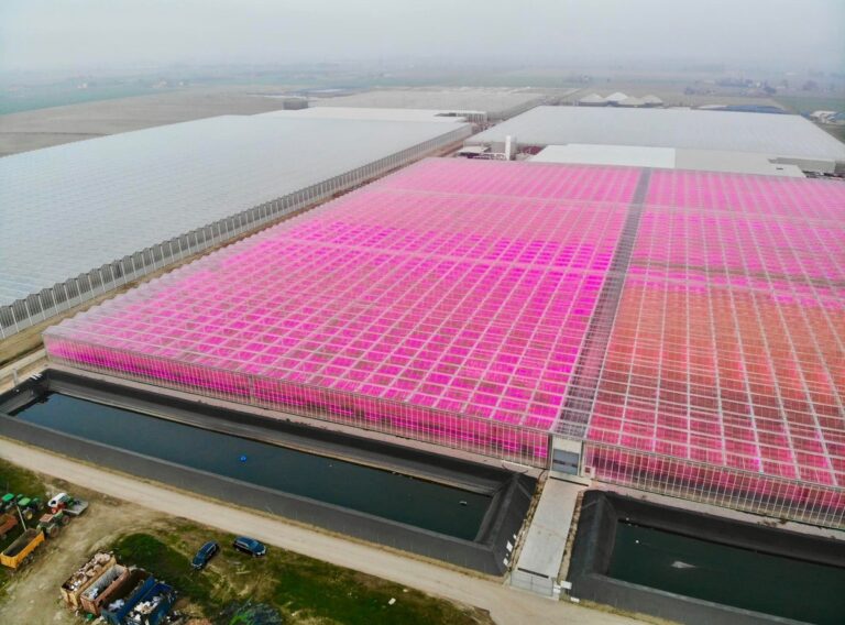 image-1200-446716b9c11d57f93ff80cb13def25e3 image-1200-446716b9c11d57f93ff80cb13def25e3